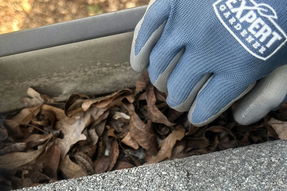 Gutter Cleaning Pfafftown